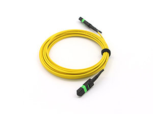 Fiber Patch Cables and Pigtails