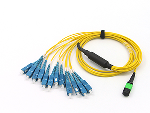 Fiber Patch Cables and Pigtails