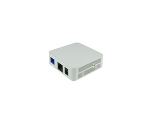 ONU for Gigabit Passive Optical Network (GPON)